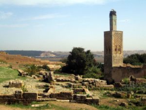 Restos romanos en Rabat, Chellah