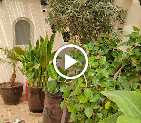 Hotel Riad Jona – Marrakesh