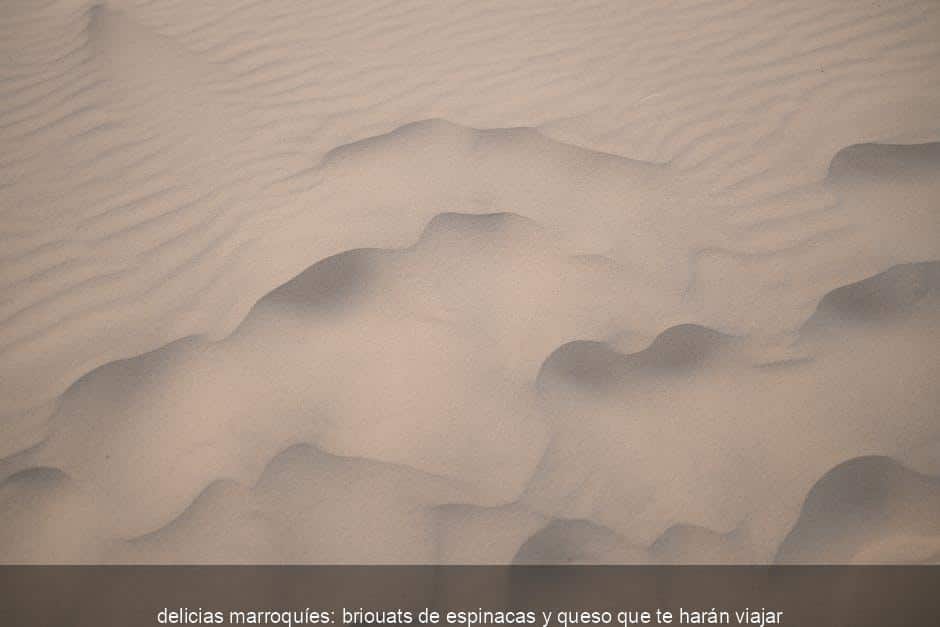 updated_delicias_marroqu_es__briouats_de_espinacas_y_queso_que_te_har_n_viajar