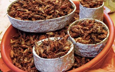 descubre el sabor exótico de la cocina marroquí con el pescado chermoula: una delicia para tu paladar
